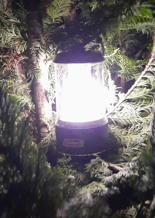 Coleman 800 L Battery operated Lantern