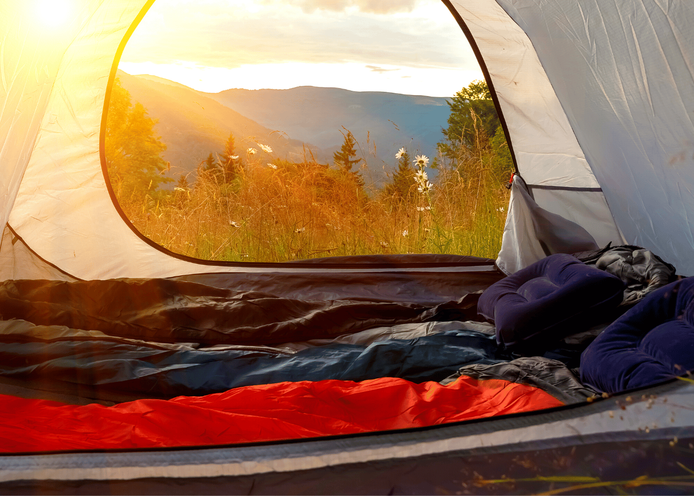 Best Camping Pillows